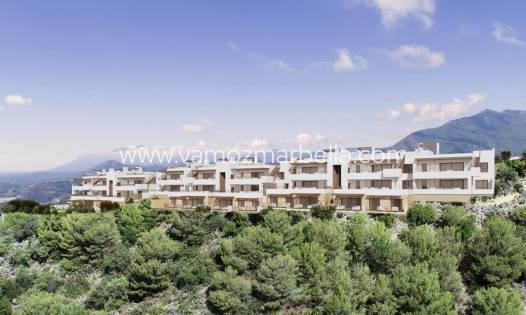 Penthouse - Nieuwbouw  -
            Marbella - Almazara Forest PH