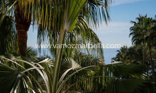 Exclusieve portefeuille - Penthouse -
Marbella - Puente Romano